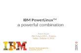 IBM PowerLinux TM a powerful combination