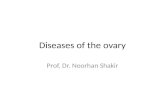 Diseases of the ovary