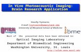 In Vivo Photoacoustic Imaging: Brain Research Application