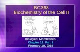 BC368 Biochemistry  of  the Cell II