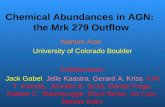 Chemical Abundances in AGN:   the Mrk 279 Outflow
