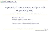 A principal components analysis self-organizing map