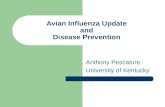 Avian Influenza Update and Disease Prevention