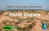 Higher Geography Biosphere  Vegetation Succession: Sand Dunes