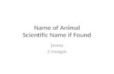 Name of Animal Scientific Name if Found
