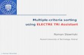Multiple-criteria sorting  using  ELECTRE TRI Assistant