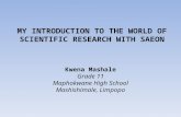 MY INTRODUCTION TO THE WORLD OF SCIENTIFIC RESEARCH WITH SAEON