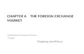 CHAPTER 6    THE FOREIGN EXCHANGE MARKET