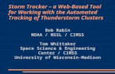 Storm Tracker – a Web-Based Tool for Working with the Automated Tracking of Thunderstorm Clusters
