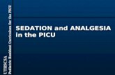 SEDATION and ANALGESIA in the PICU