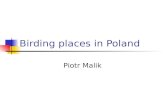Birding places in Poland
