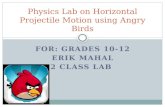 Physics Lab on Horizontal Projectile Motion using Angry Birds