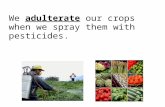 We  adulterate  our crops when we spray them with pesticides.