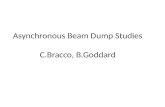 Asynchronous Beam Dump Studies C.Bracco, B.Goddard