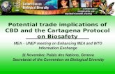 Potential trade implications of CBD and the Cartagena Protocol on Biosafety