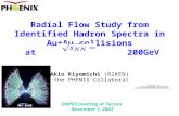 Radial Flow Study from Identified Hadron Spectra in Au+Au collisions  at                 200GeV
