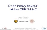 Open heavy  flavour at the CERN-LHC