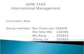 AOW 356E       International Management