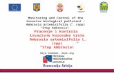 Pracenje i kontrola  invazivne korovske vrste  Ambrosia artemisifolia L. (spp)  "Stop Ambrosia!”