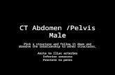 CT Abdomen /Pelvis Male