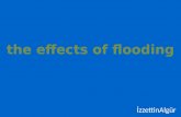 the effects  of  flooding