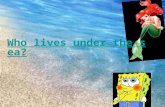 Who lives under the sea?