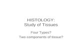 HISTOLOGY: Study of Tissues