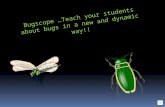 Bugscope …Teach your students about bugs in a new and dynamic way!!