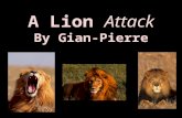 A Lion  Attack By  Gian -Pierre