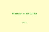 Nature in Estonia