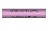 Nucleic Acids and Genetics A Language of Its Own