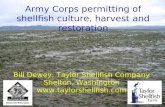 Army Corps permitting of shellfish culture, harvest and restoration