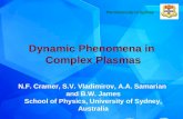 Dynamic Phenomena in  Complex Plasmas N.F. Cramer, S.V. Vladimirov, A.A. Samarian  and B.W. James