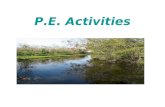 P.E. Activities