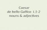 Caesar de  bello Gallico   I.1-2  nouns & adjectives