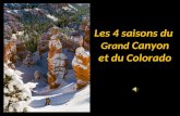 Les 4 saisons du  Grand  Canyon et du Colorado
