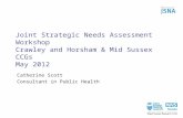 Joint Strategic Needs Assessment Workshop  Crawley and Horsham & Mid Sussex CCGs May 2012
