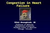 Congestion in Heart Failure