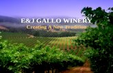 E&J GALLO WINERY Creating A New Tradition