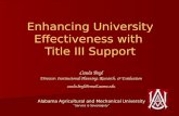 Enhancing University Effectiveness with  Title III Support