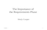 The Importance of  the Requirements Phase