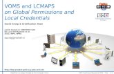 VOMS and LCMAPS on Global Permissions and Local Credentials