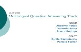 CLEF 2008 Multilingual Question Answering Track