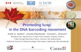 Promoting fungi  in the DNA barcoding movement
