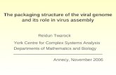 The packaging structure of the viral genome and its role in virus assembly