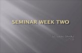 Seminar Week Two