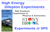 High Energy                       Dilepton Experiments