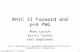 RHIC II Forward and p+A PWG
