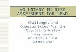 VOLUNTARY EU RISK ASSESSMENT FOR LEAD