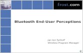 Bluetooth End-User Perceptions